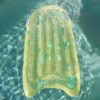 Inflatable Body Board – The Sea Kids Blue-Lime