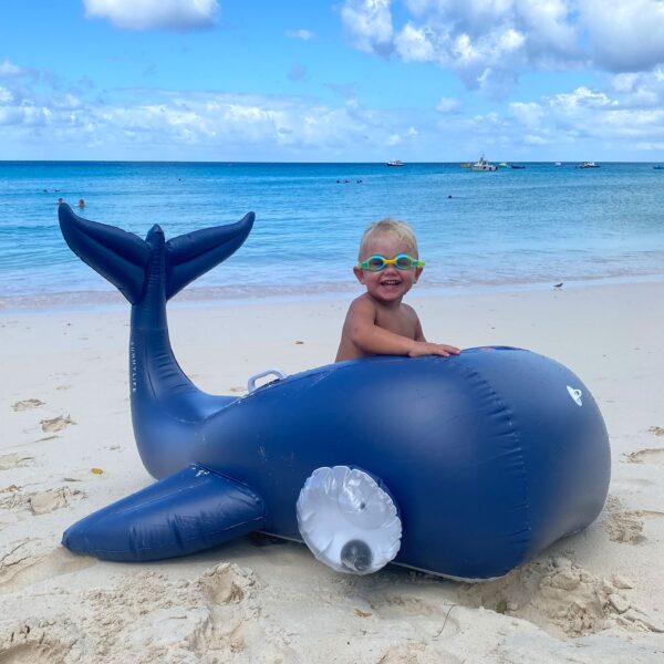 Luxe Ride-On Float – Moby Dick Navy