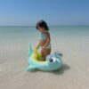 Kids Tube Pool Ring – Salty the Shark Multi