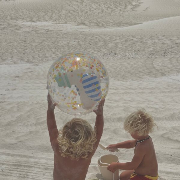 S51BBSSB_L_2_1 3D Inflatable Beach Ball – Sammy the Seagull Blue Stripe