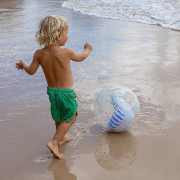 S51BBSSB_L_3 3D Inflatable Beach Ball – Sammy the Seagull Blue Stripe