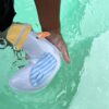 Dive Buddies – Sammy the Seagull Multi