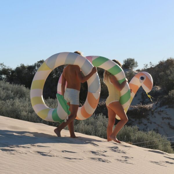 S51GINML_L_5 Giant Inflatable Noodle Poolside Sorbet Stripe