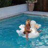 Kids Ride-On Float – Sammy the Seagull Blue Stripe