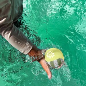 S51SBMUL_L_2 Skim Ball Set Tides Out Citrus – Skim Ball Set Tides Out Citrus