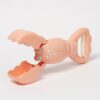 S51SCLCO_6 Sand Claws – Lobster Coral