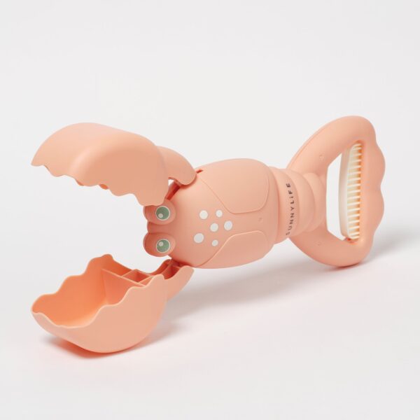 S51SCLCO_6 Sand Claws – Lobster Coral