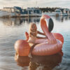 Luxe Ride-On Float – Flamingo Rose Gold