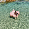 Luxe Ride-On Float – Flamingo Rose Gold