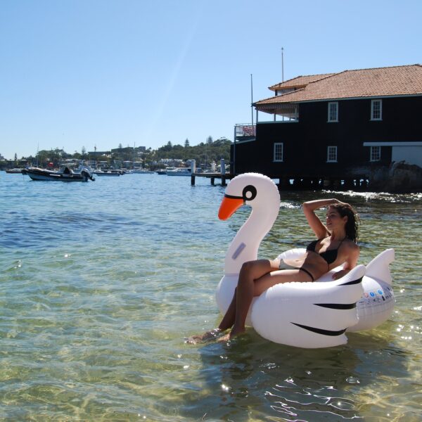 Original Luxe Ride-On Float Swan – The Resort White on White