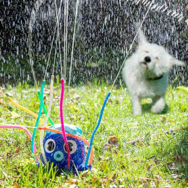 Bumper Balls & Water Sprinkler Garden Set