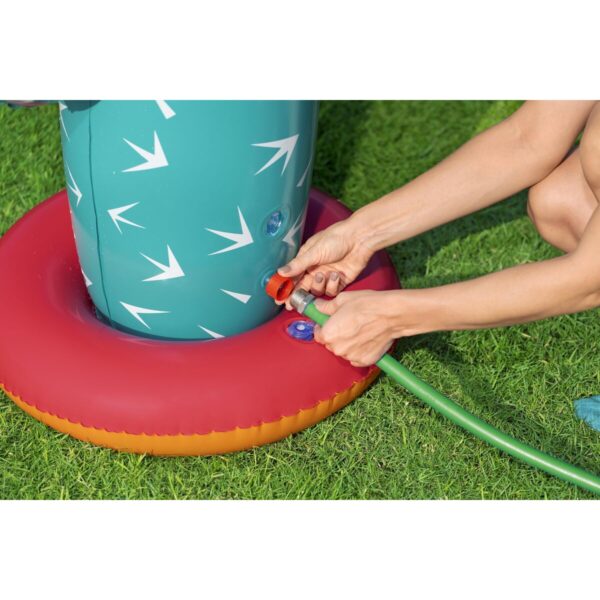 Cactus Sprinkler Cactus Sprinkler
