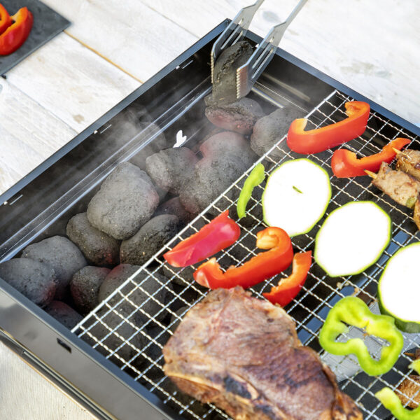 Folding Portable Charcoal BBQ