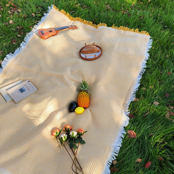Woven Picnic Blanket Woven Picnic Blanket
